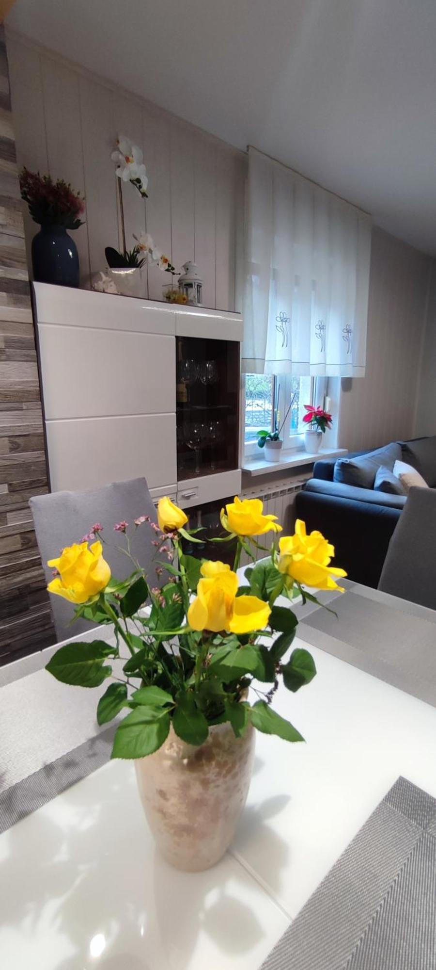 Apartma Soca Oasis Srpenica ภายนอก รูปภาพ